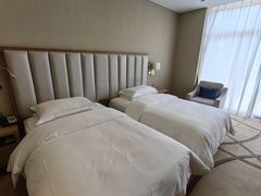 -圣爵菲斯大酒店(长沙世界之窗店)