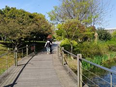 -尚贤河湿地
