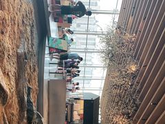 -Seesaw Coffee(朝阳大悦城店)