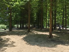 -贵阳市花溪国家城市湿地公园