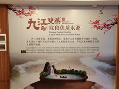 -九江双蒸博物馆