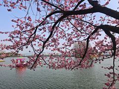 -无锡蠡湖国家湿地公园-蠡园