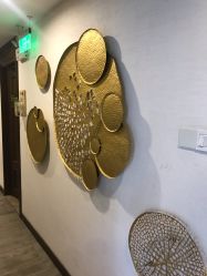 -青青一生美皮肤管理