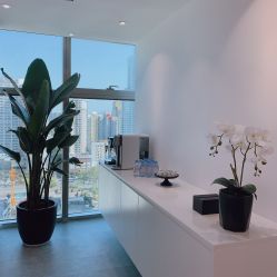 -芙芬芳·半永久纹眉（深圳旗舰店）