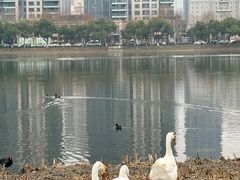 -西北湖绿化广场