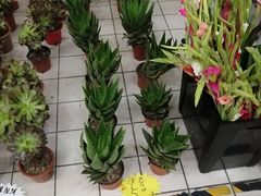 -米兰超市(红桥店)