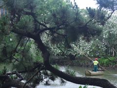 -上海醉白池公园