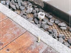 -红咖啡西餐厅·自助餐(惠州翡翠山华美达酒店)