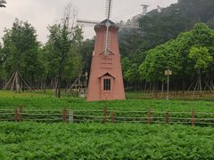-顺峰山公园