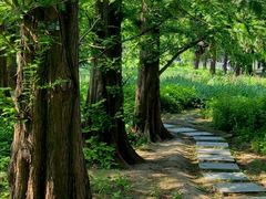 -国家植物园南园