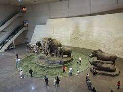 -大庆市博物馆
