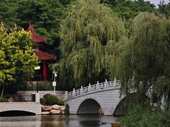 -大连植物园
