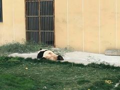 -西安秦岭野生动物园