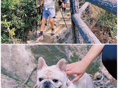 -狮子山郊野公园