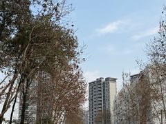 -西南交通大学(九里校区)