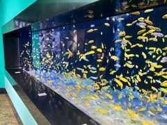 -成都浩海立方海洋公园