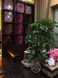 点击看大图 -升艾堂亚健康调理中心