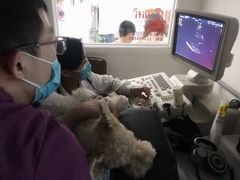 -达爱动物医院·犬猫分区·CT·复杂眼科(远洋山水分院)