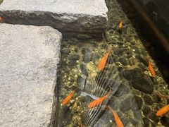 -邈墨茶馆(凤起路店)