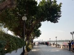 -珠江夜游广州塔·中大码头