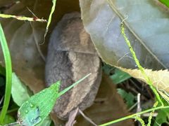 -东天目山风景区