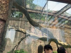 -南昌动物园