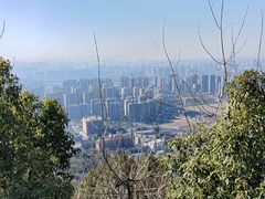 -杭州半山国家森林公园