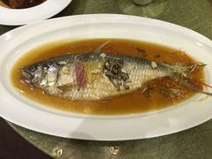 -半岛公馆(淞兴西路店)