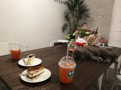 -有猫主题·治愈系猫咖(曾厝垵店)