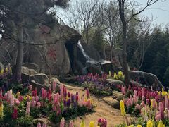 -沂蒙云瀑洞天景区