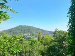 -树山生态村