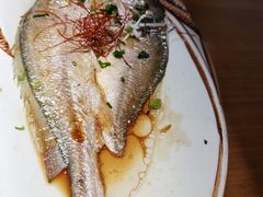 昆布蒸黄鱼-三石铁板烧(紫竹桥店)