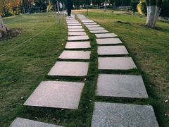 -重庆市江北嘴中央商务区中央公园