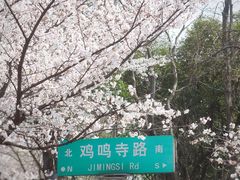 -鸡鸣寺
