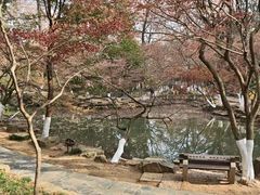 -虞山风景区