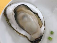 -蚝专家(北滘店)