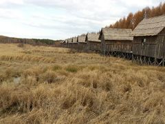 android_upload_pic-塞罕坝国家级自然保护区