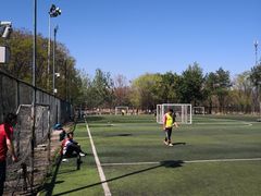 -太阳宫足球俱乐部