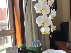 -子霖南山鲜虾面(南山总店)