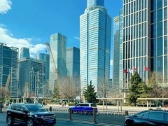 -山姆会员商店(亦庄创意生活广场店)