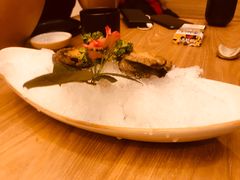 -一本钓鲔鱼屋