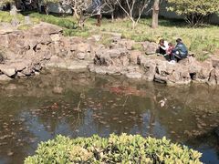 -上海醉白池公园