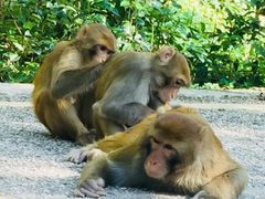 -黔灵山公园-南门售票处