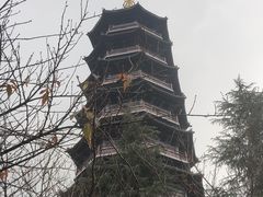 -重庆园博园