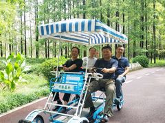 -黄海国家森林公园