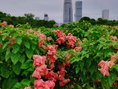 -深圳湾公园(南山区)