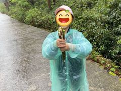-武陵山森林公园