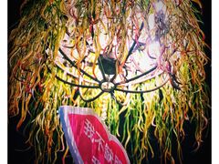 -胡桃里音乐酒馆(四道口店)