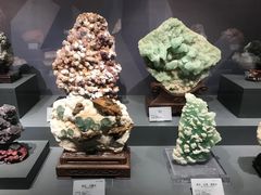 -湖南省地质博物馆