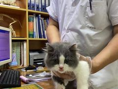 -pd派德宠物中心医院24H急重症·眼科中心·血液透析中心(嵩山北路店)